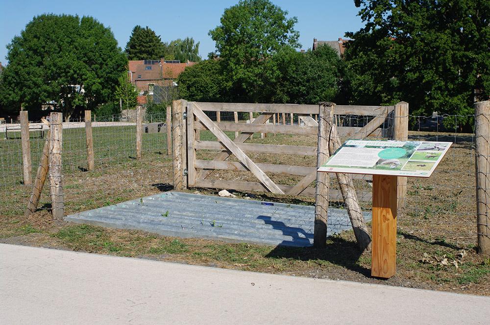 AMENAGEMENT DU PARC URBAIN PLANTIS JACQUETTE A DOUR par arpayge paysagiste en wallonie