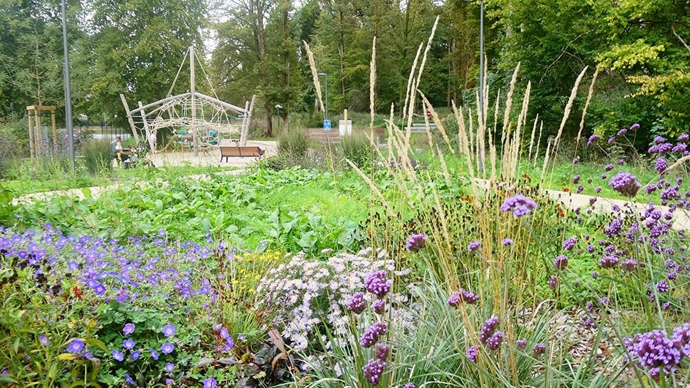 AMENAGEMENT DU PARC DES DUCS A FLORENNES par arpayge paysagiste