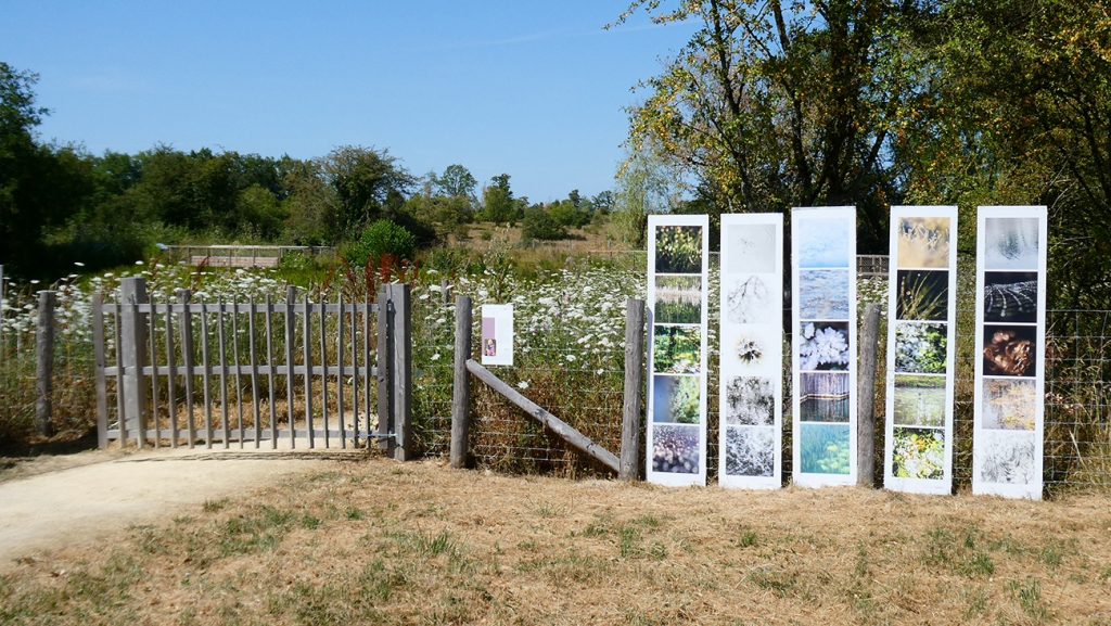 exposition-grand-bu