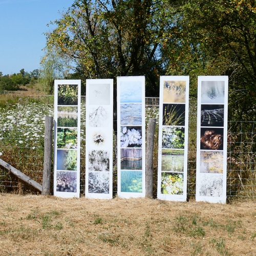 exposition-grand-bu